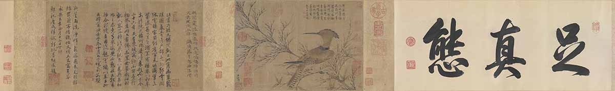 元 赵孟頫 幽篁戴胜图全卷纸本25.4X36.1
