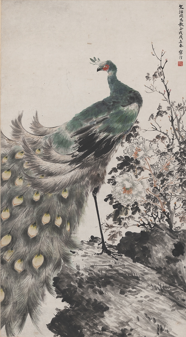 江寒汀 孔雀图轴146X81