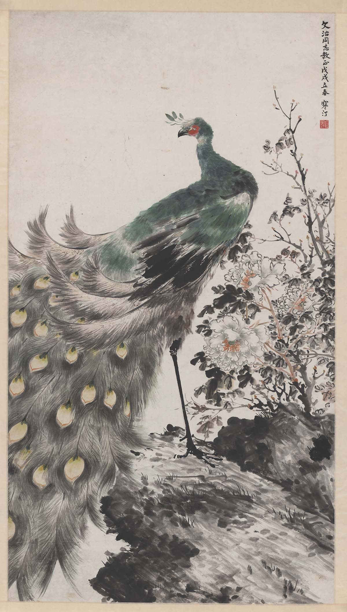 江寒汀 孔雀图轴86.2-151.8cm