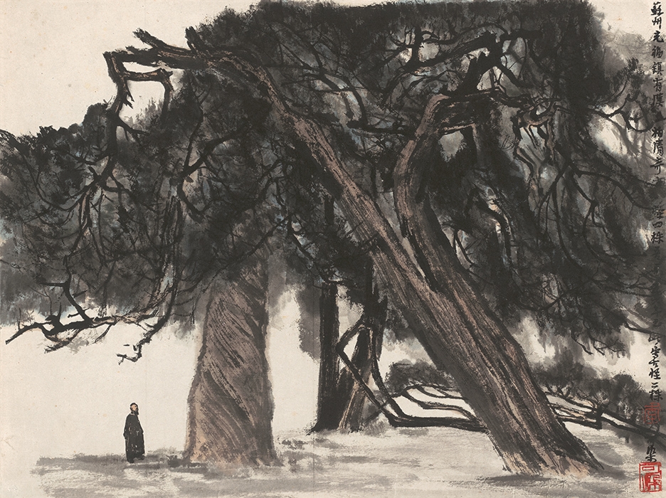 李可染 -柏树-1 59X44