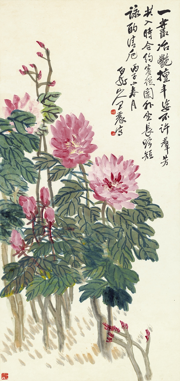 王震 牡丹 纸本