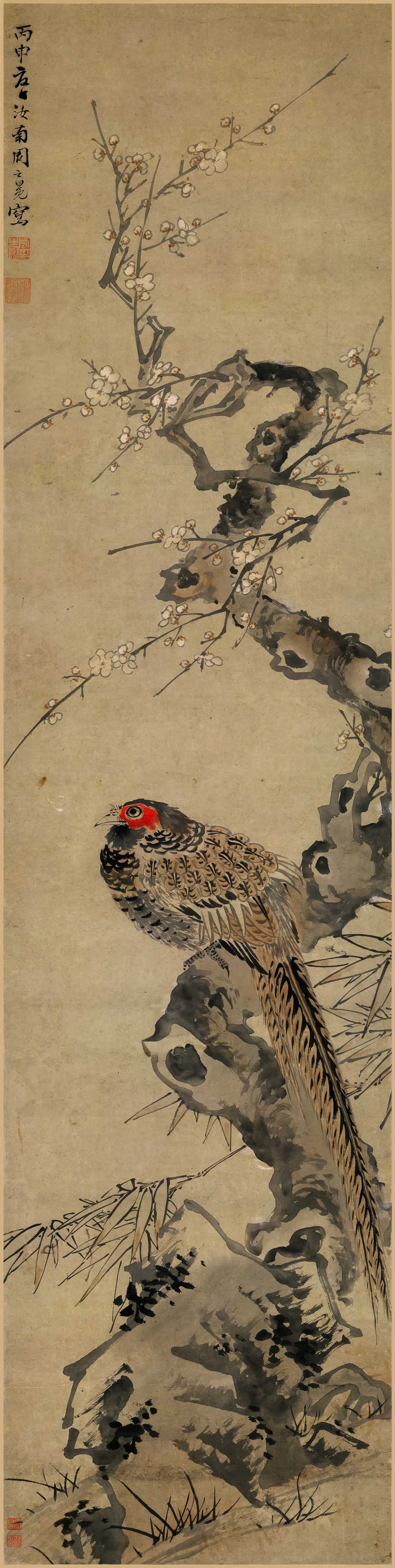 明 周之冕 梅花野雉图 纸本134X23辽博