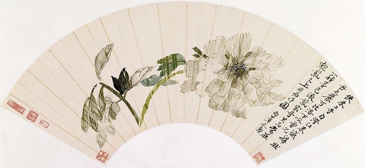 54-牡丹图-清-恽寿平