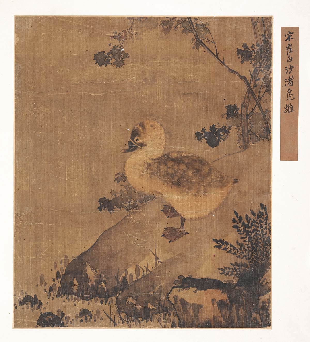 （台北）青卞隐居