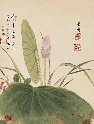 明 项圣漠 花卉10开