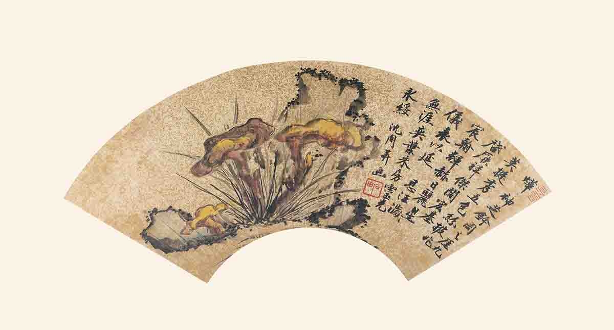 明 沈周 扇面集17开沈周芝石图