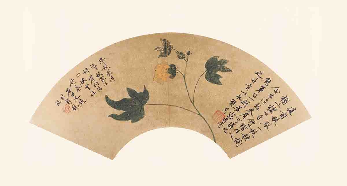 明 沈周 扇面集17开沈周秋葵图