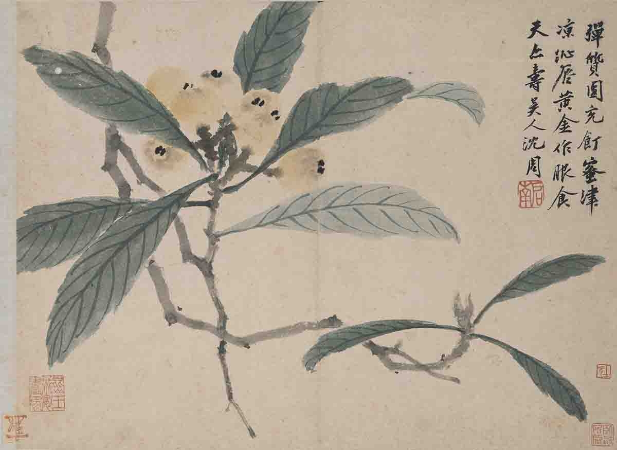 明 沈周 卧游图册