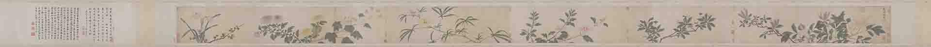 明 沈周 四季花卉卷纸本27.5X504.8