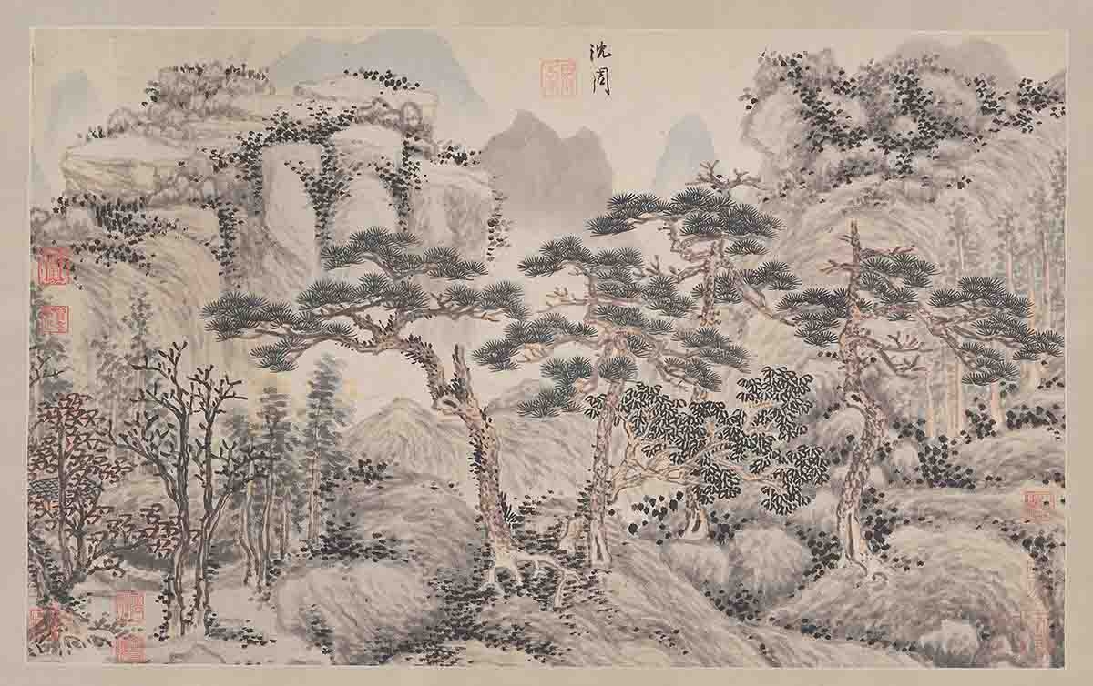 明 沈周 四松图册页纸本154×60.3