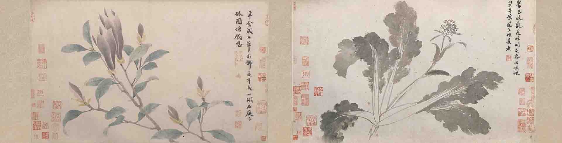 明 沈周 辛夷墨菜图卷纸本35.359.7 北京