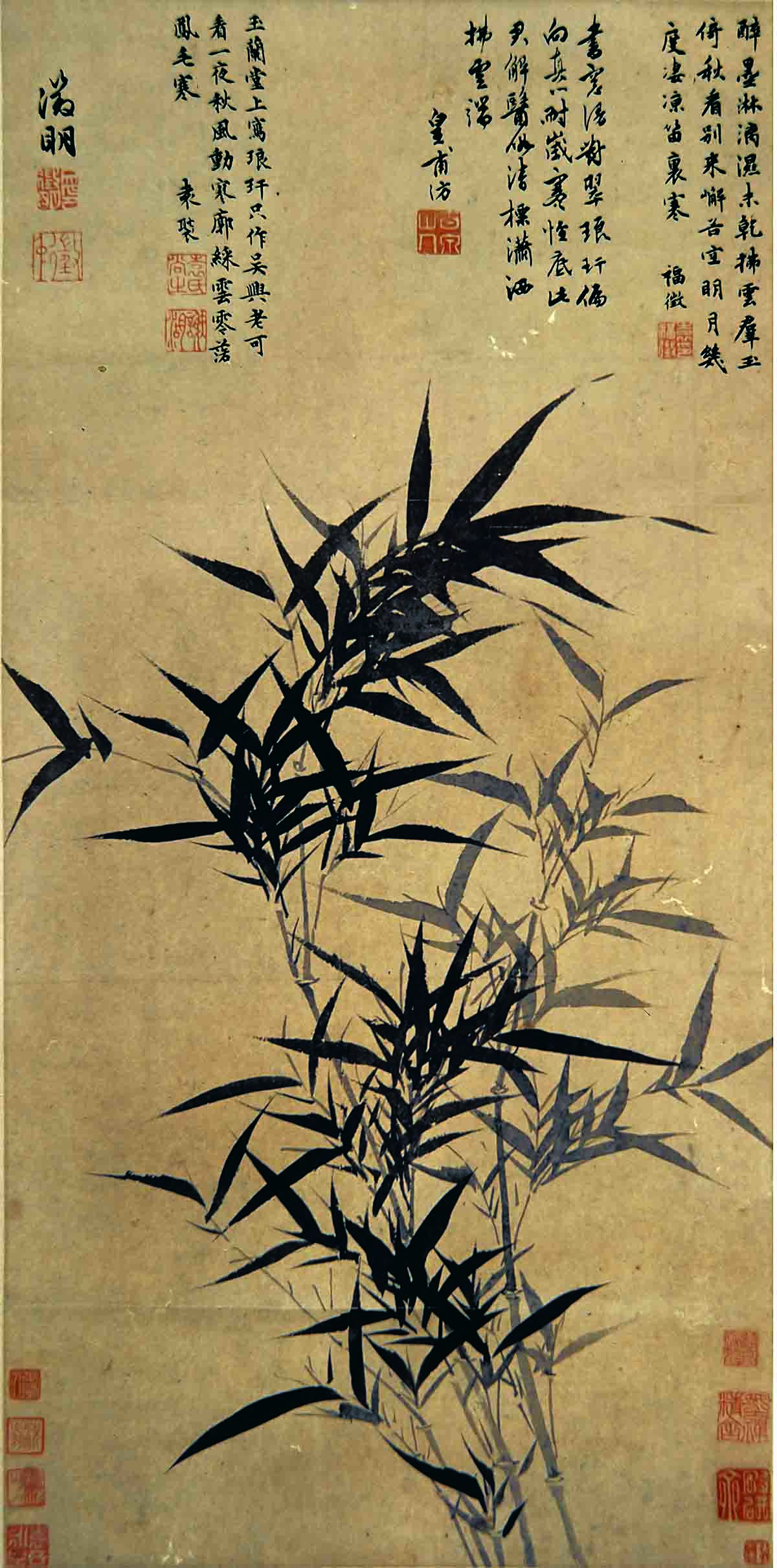 明 文徵明 墨竹图 纸本41x75