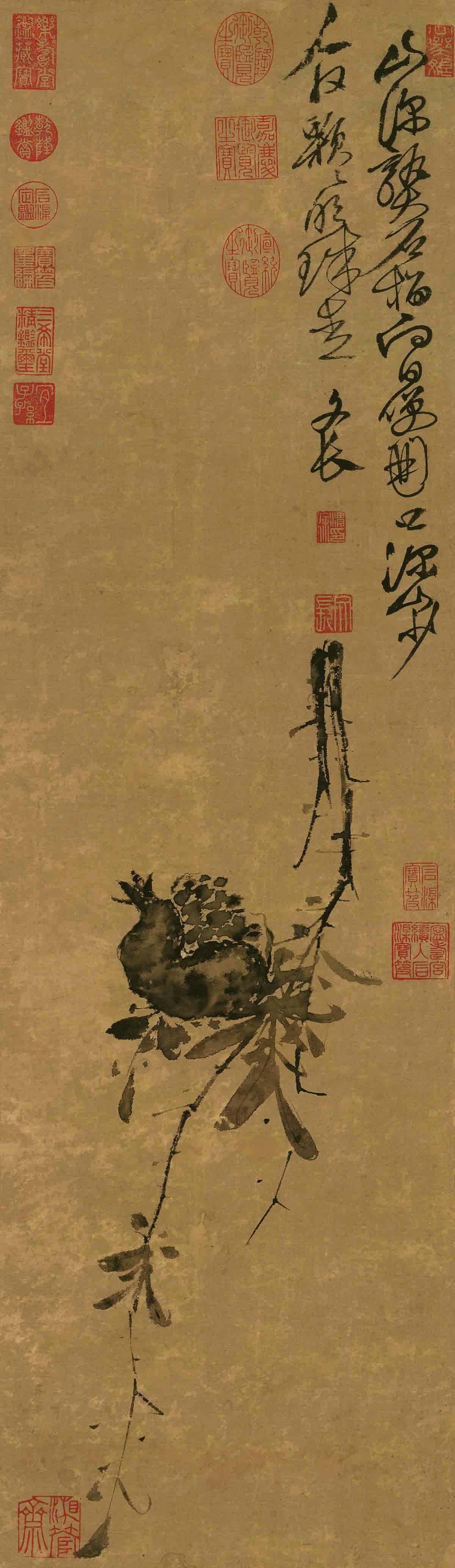 明 徐渭 榴实图纸本(二版)91.4x26.5