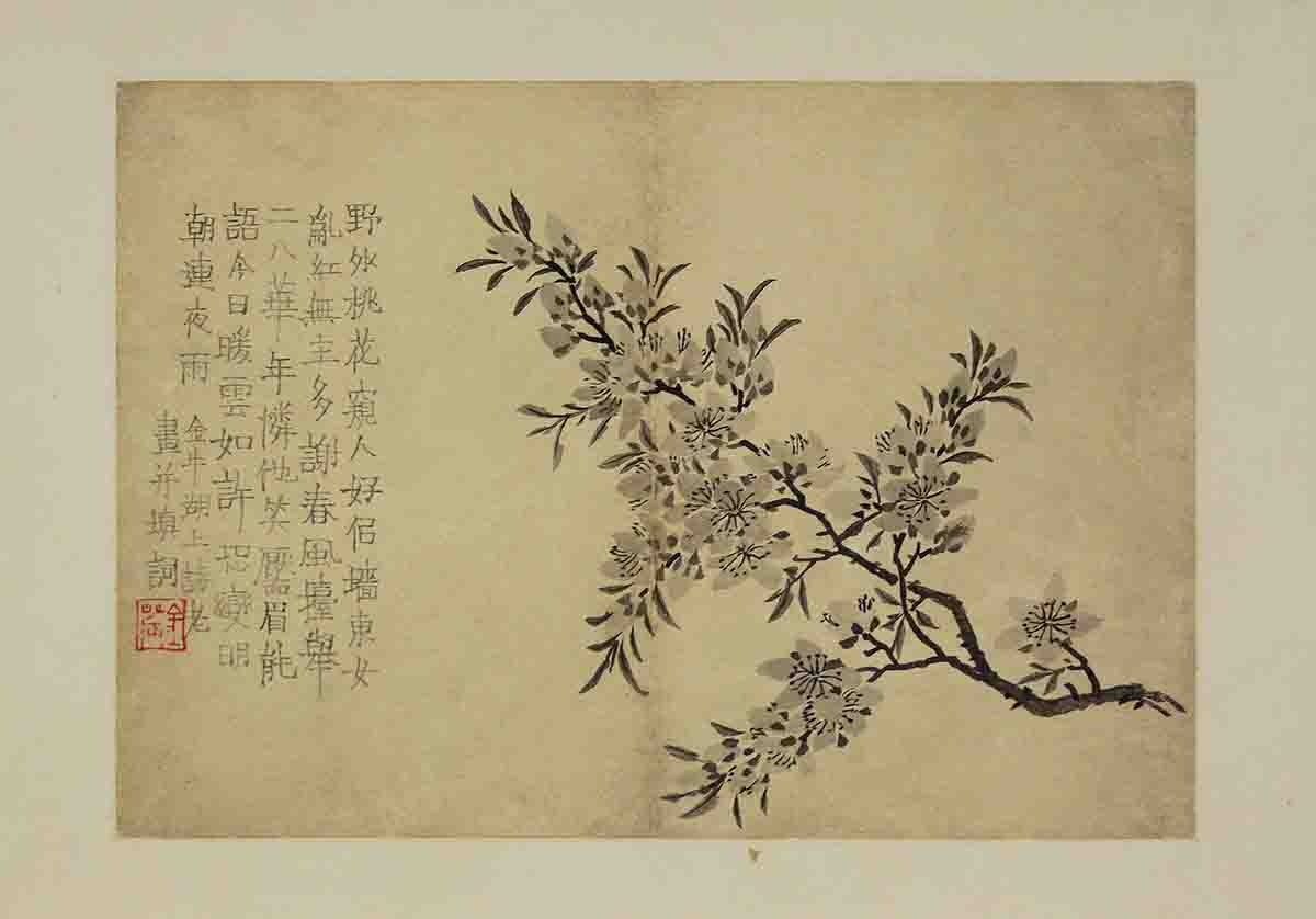 清 金农 花卉图册 浙江省博物馆