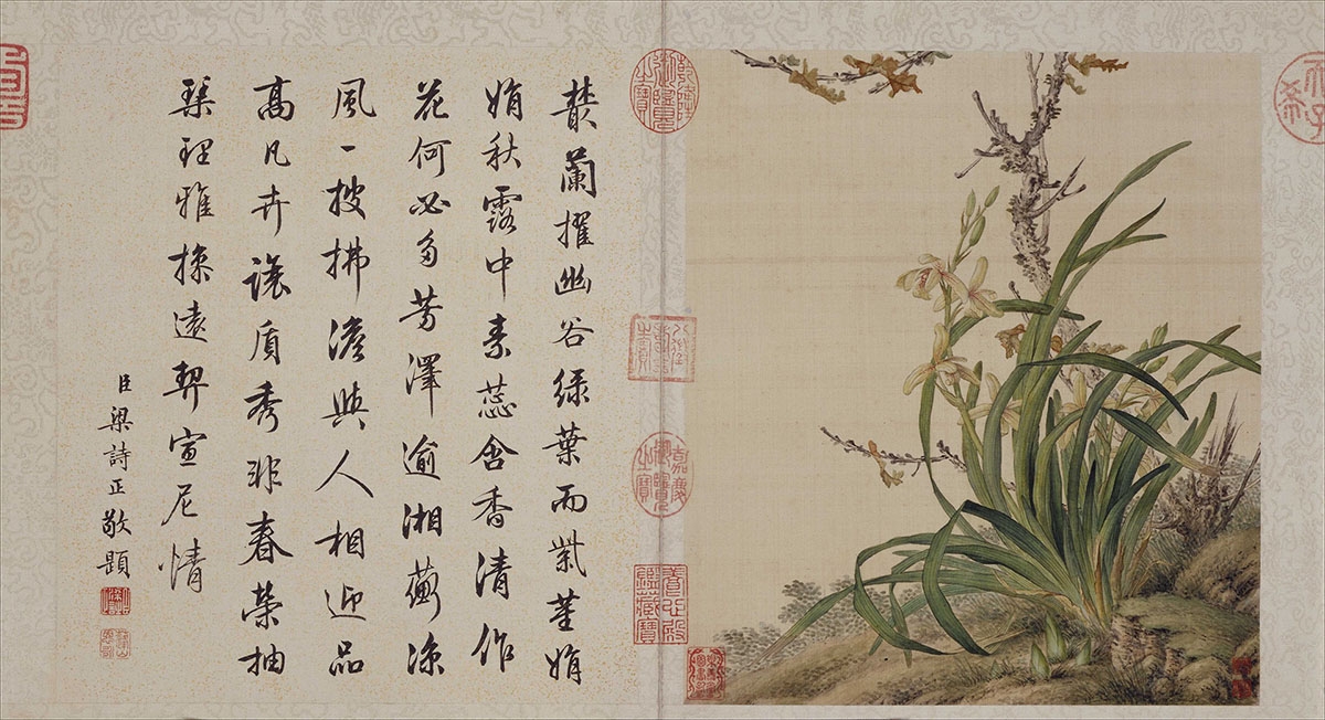 清 郎世宁 工笔重彩花卉册