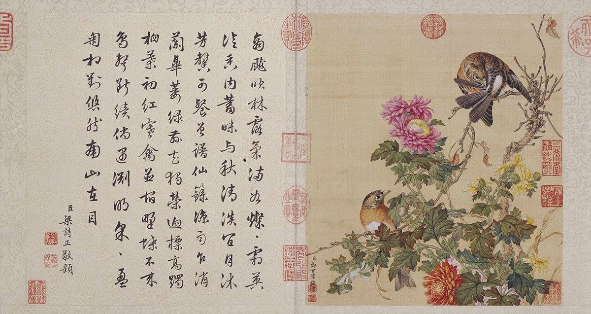清 郎世宁 款 花鸟图册10张