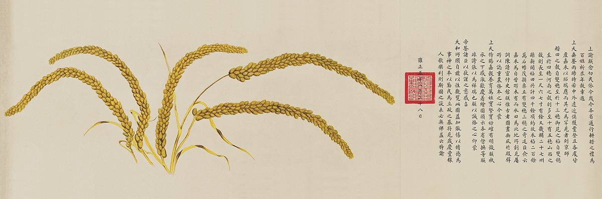 清 郎世宁 瑞谷图56x170