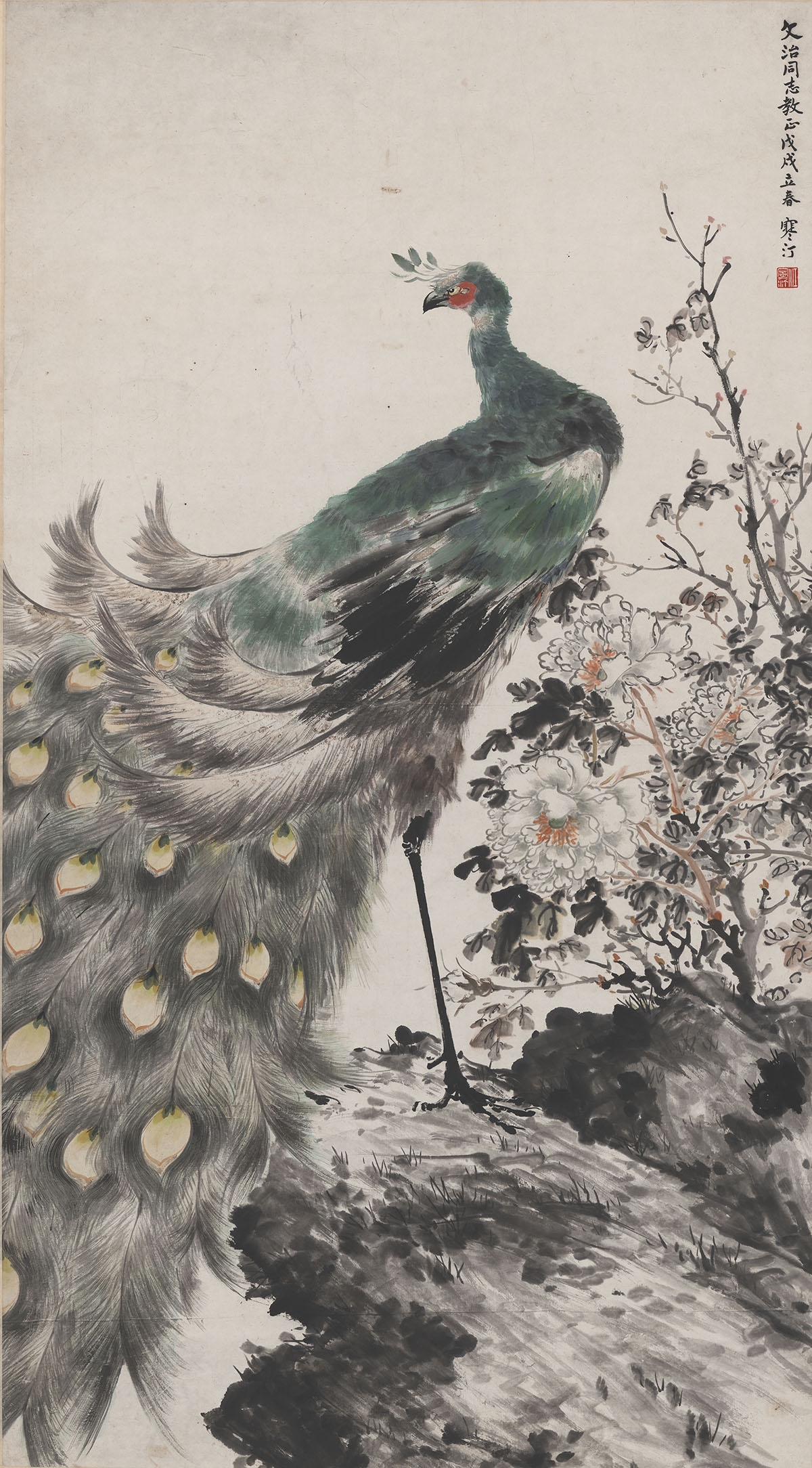 江寒汀-孔雀图轴146X81