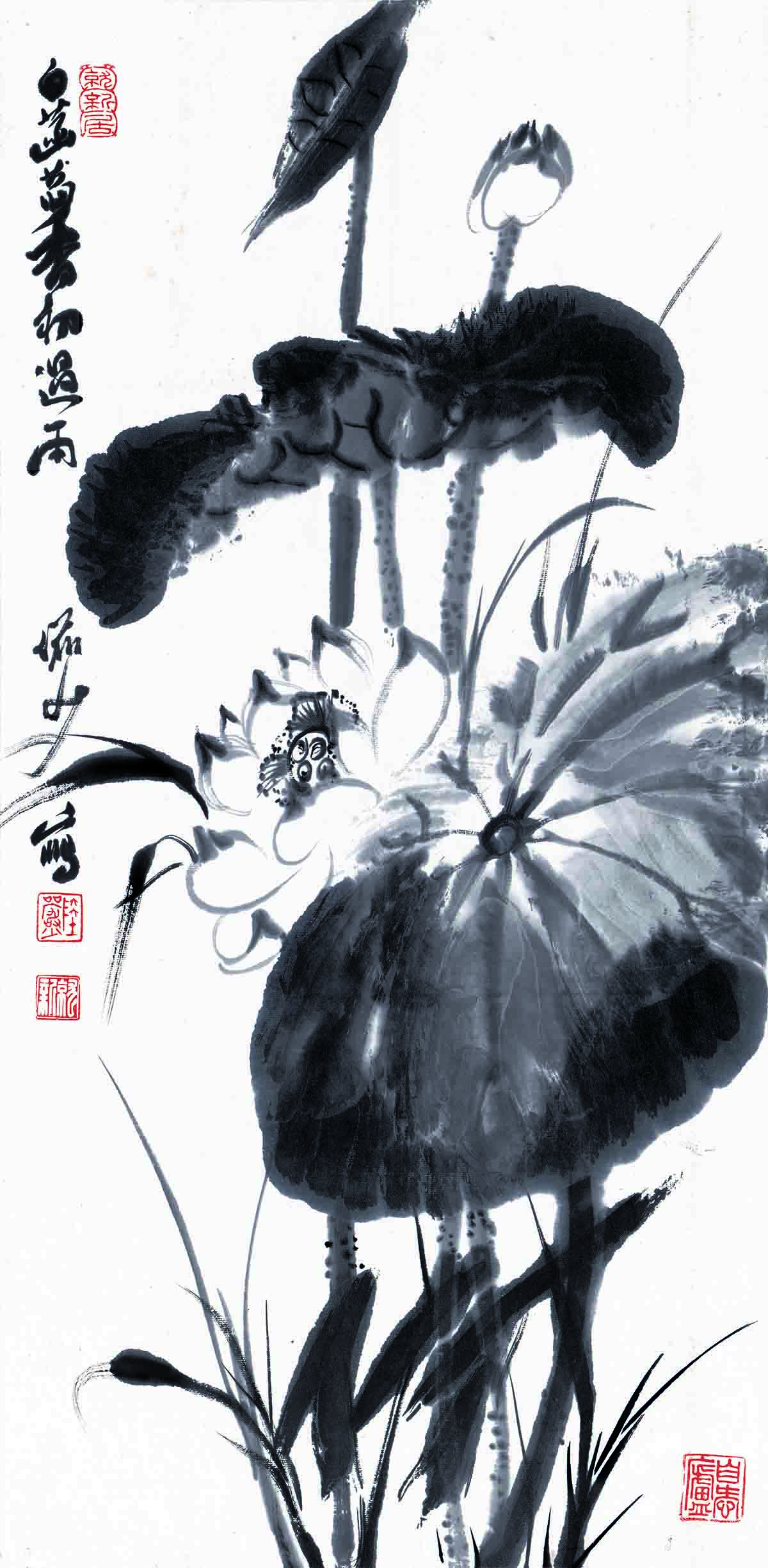 陆俨少 白菡萏香初过雨