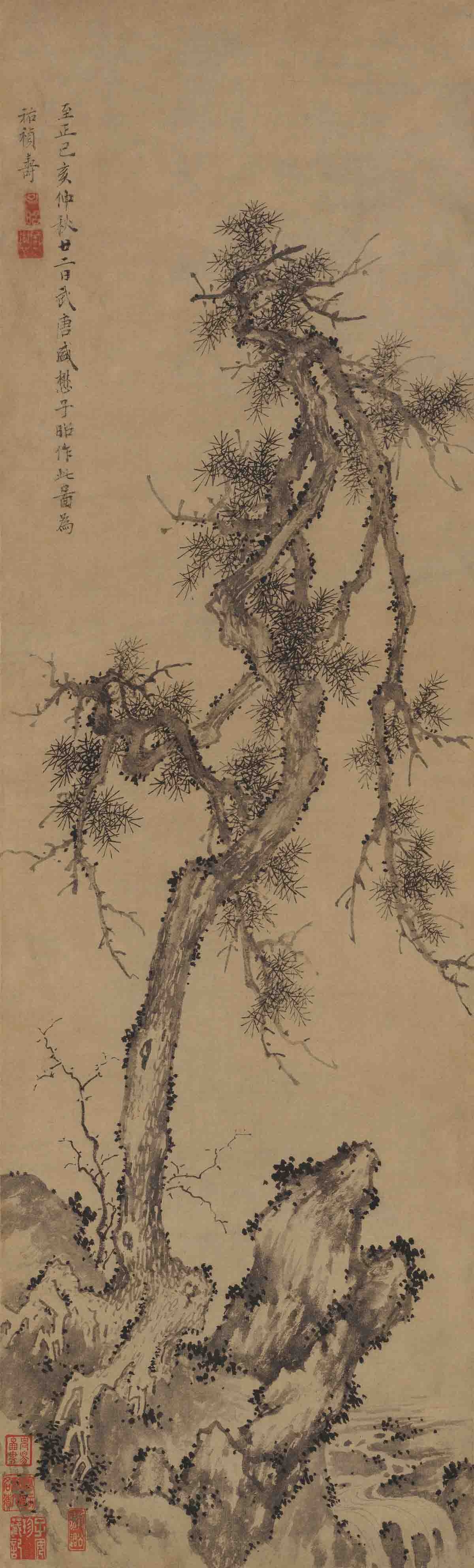 元 盛懋 松石图轴 77.4x27.2