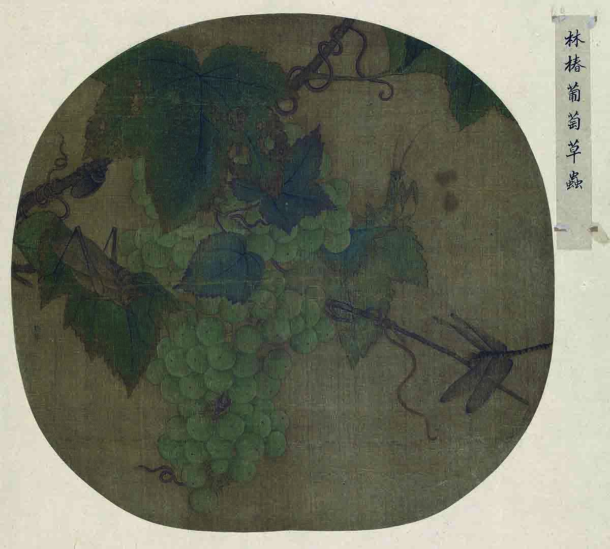 宋 林椿 葡萄草虫图绢本39X38北京故宫