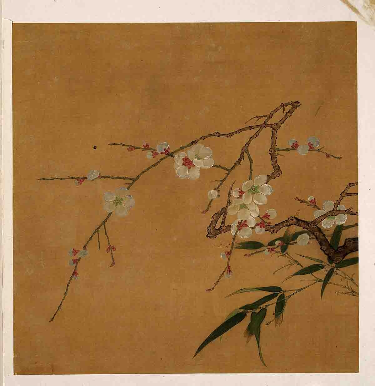 南宋 马麟 梅竹图页27x27