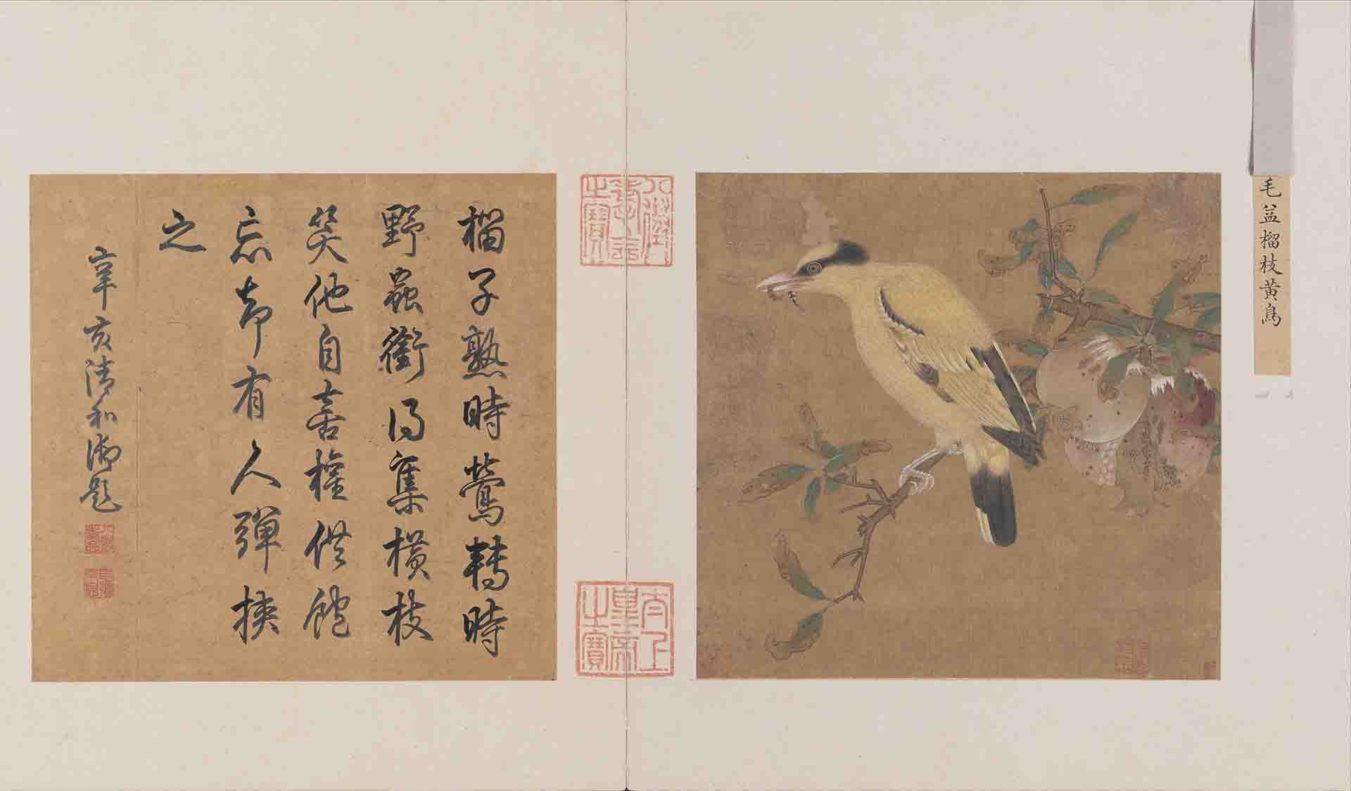 宋 佚名(传毛益) 榴枝黄鸟图 绢本53x92