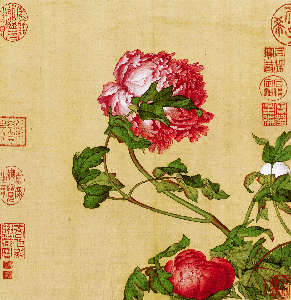 74-花鸟图册十开-清-郎世宁