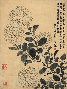金农八开