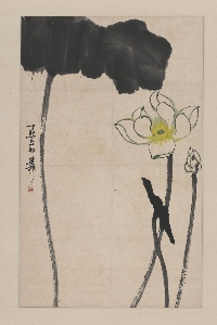 127谢稚柳-荷花图轴