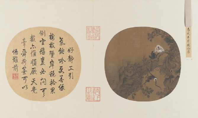 宋 易元吉 猿猴摘果绢本25x25．6北京故宫
