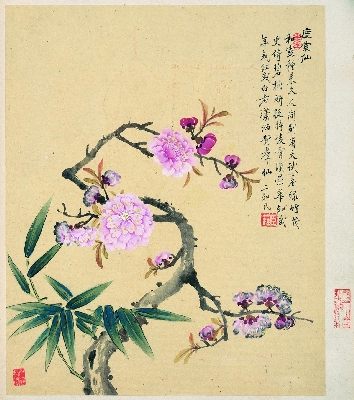 清 邹一桂 花卉8开