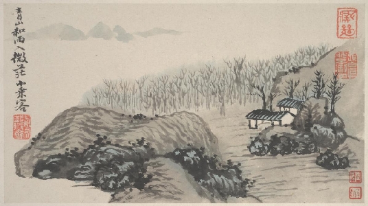 清 石涛 山水图册 8开大都会张大千旧藏