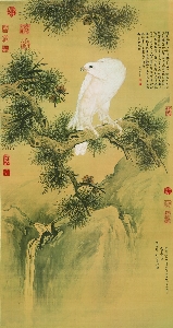 清 郎世宁白鹰图 绢本122.25x64.79