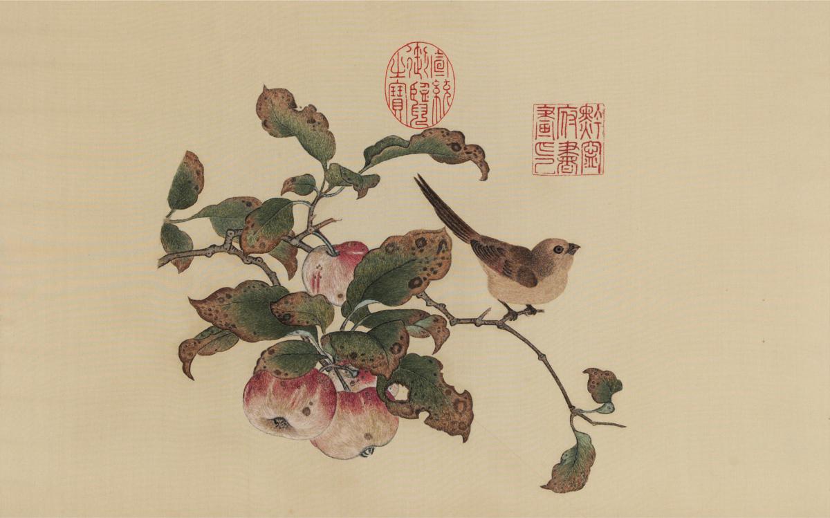 宋 黄筌 苹婆山鸟图 34x55台北