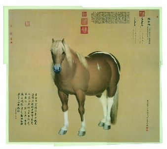 台123清 郎世宁 雪点雕