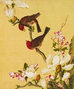 台090玄-仙萼长春图16开 清 郎世宁