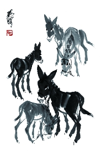 217 黄胄《驴》