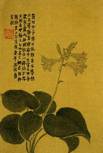 135-杂画十二开-清-金农