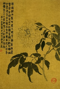 135-杂画十二开-清-金农