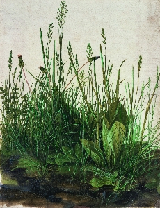 德国 丢勒 大片草地 油画 31x40.3