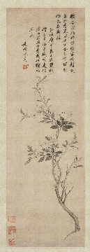 明 沈周 花卉图轴纸本129.6 x 41.4CM