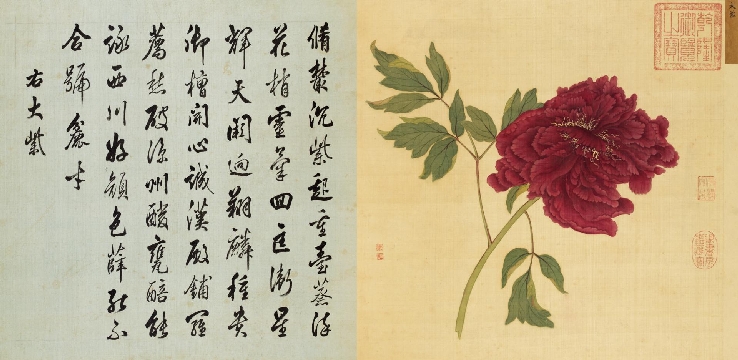 清-蒋廷锡-大紫图绢本44x88cm