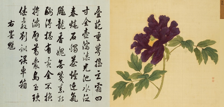 清-蒋廷锡-墨魁图绢本44x88cm