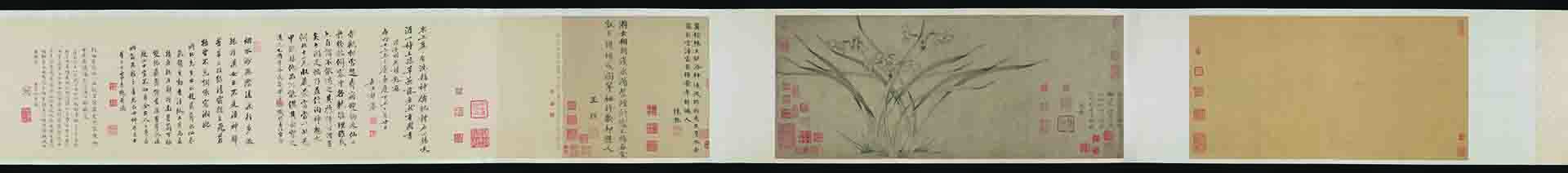 南宋 赵孟坚 水仙图卷纸本31.5×76.6