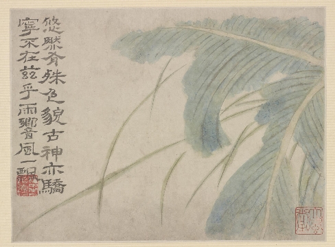 清 石涛 花鸟图册10帧 纸本63×47