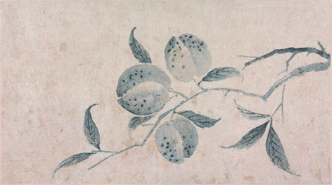 明 沈周 莲花豆荚图册9帧纸本54x30CM