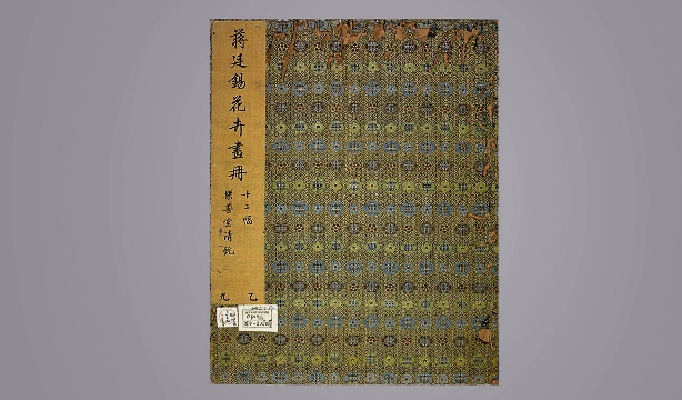 清 蒋廷锡 花卉虫草册24帧纸本40x40.2cm