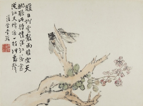 清 李鱓 花鸟草虫图册纸本28.6 x 38.8cm