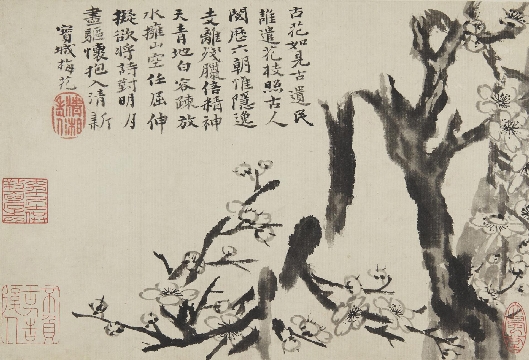 清 石涛 梅花图册纸本20.2 x 29.7cm
